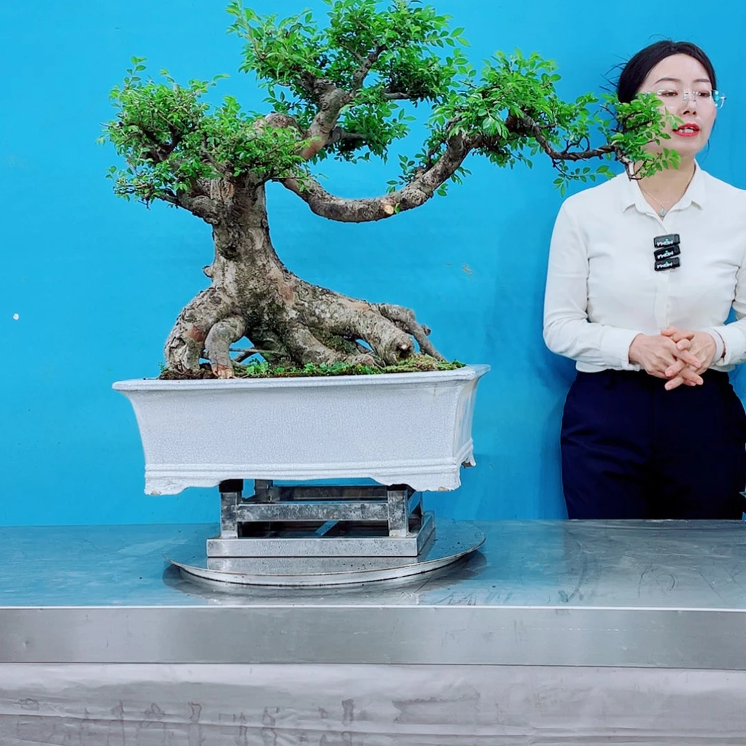 岭南文化艺术中心的