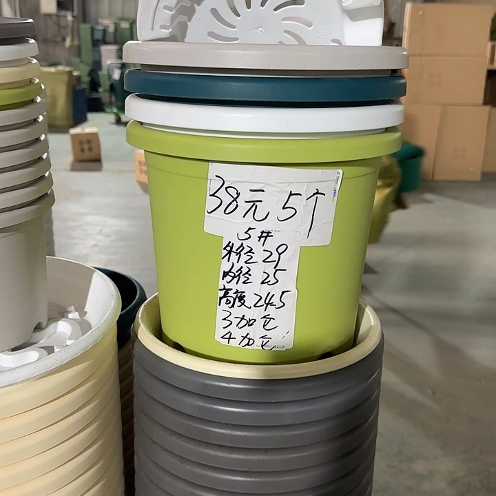 微瑕5#口径29无托果绿10个