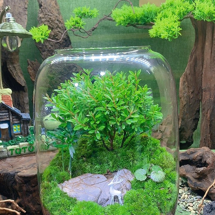 无花朵带灯一整套