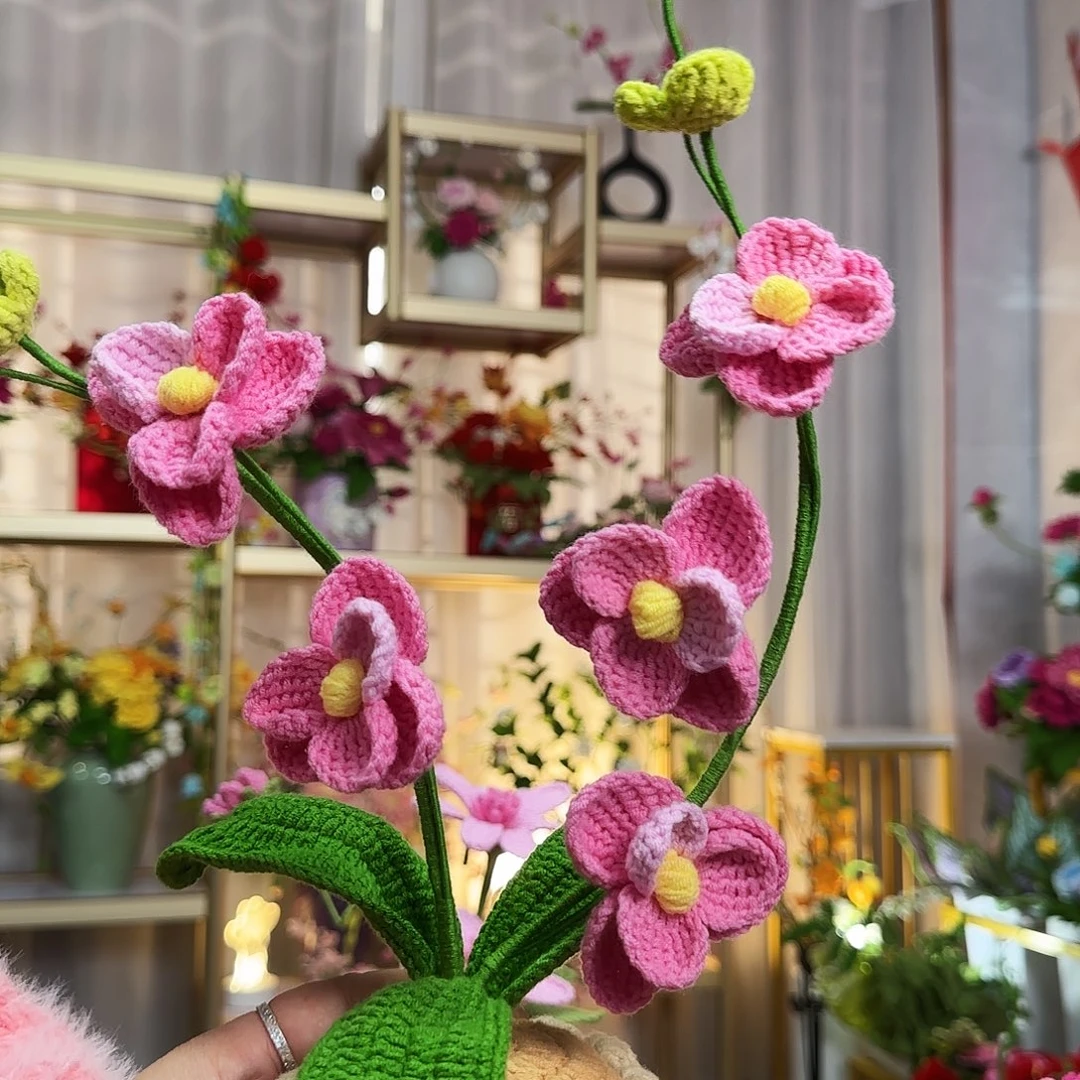 纯手工钩织手工钩织设计盆栽