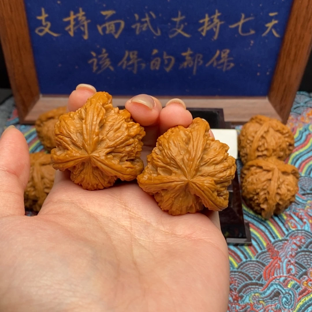 【闪购商品】拼*白狮