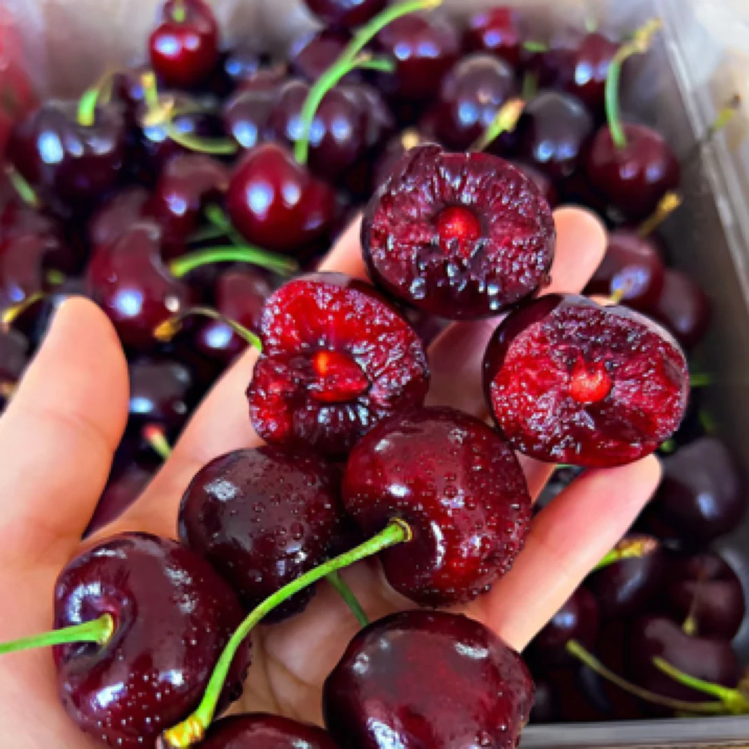 Duke 拉宾斯2JD车厘子(5-10斤）