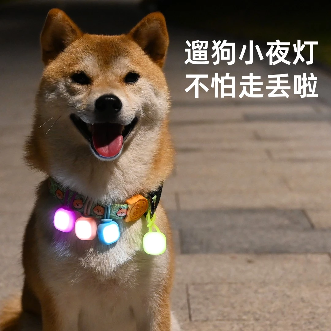 宠物小夜灯 夜间遛狗LED灯狗狗泰迪柴犬发光吊坠防走失可换电池