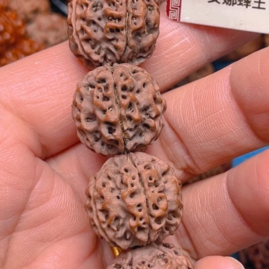 金刚菩提手串v257/19/5