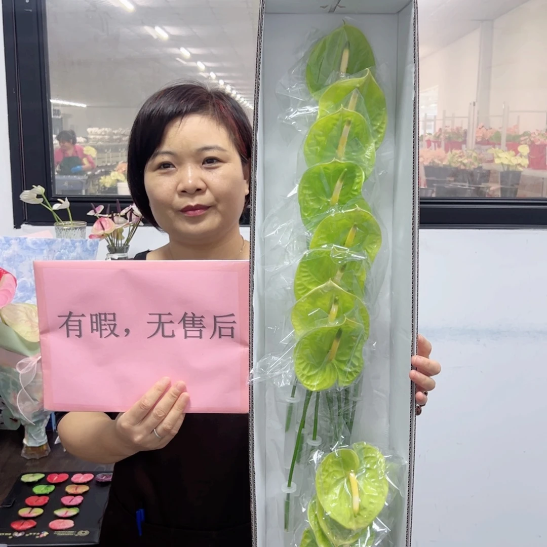 完全开放绿掌-16枝装无售后款！
