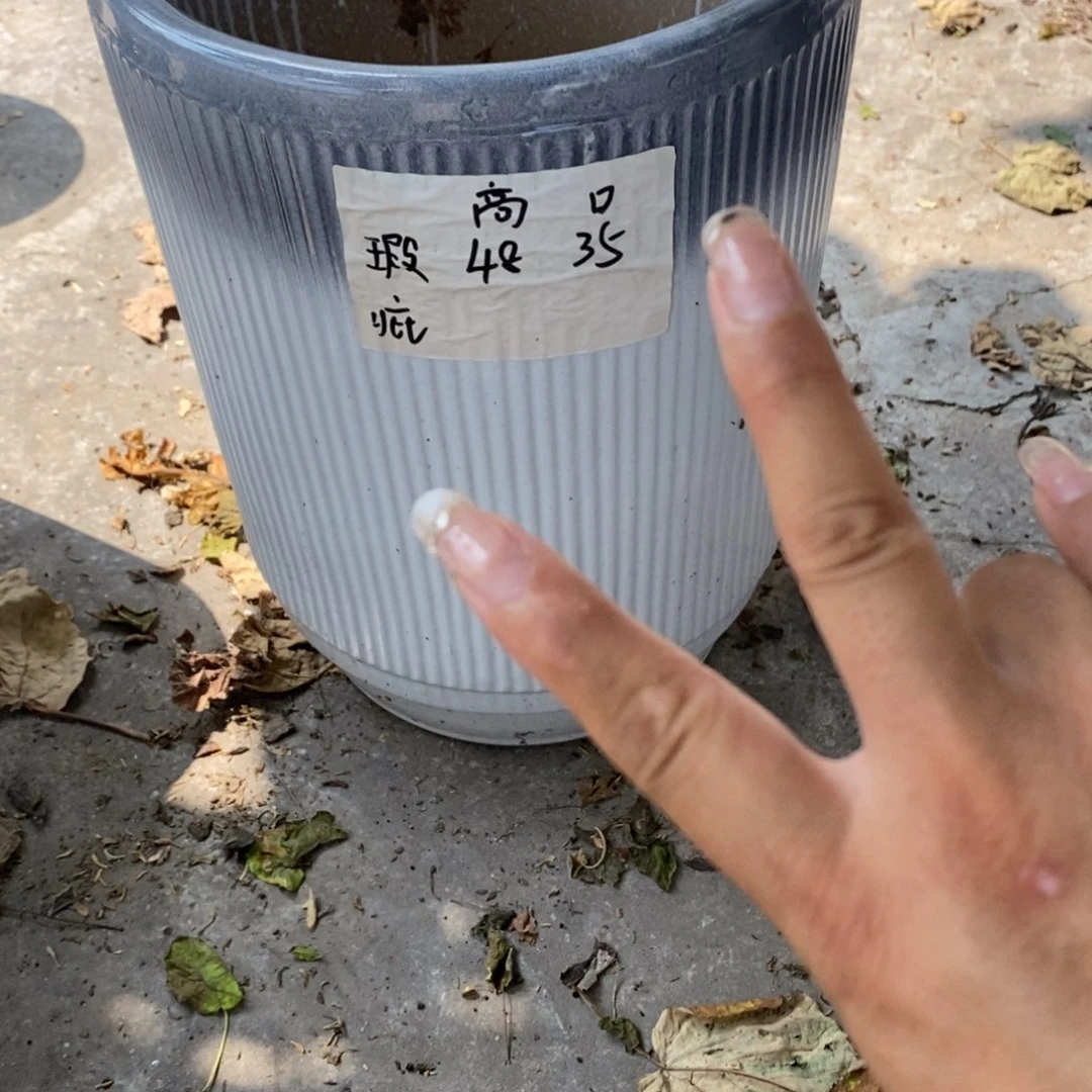 奔****陶瓷花盆默认瑕疵
