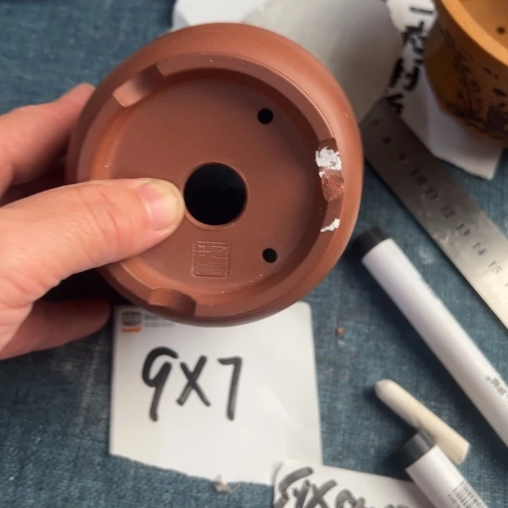 呜呜呜太好看太好看