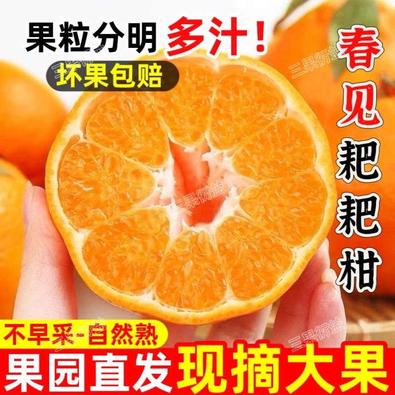 正宗四川头茬春见耙耙柑成熟爆甜多汁产地直发当季新鲜现摘II