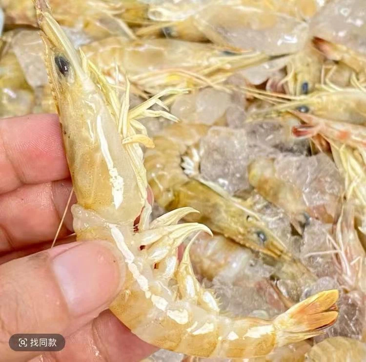 汕头海门海鲜 油虾 杂虾