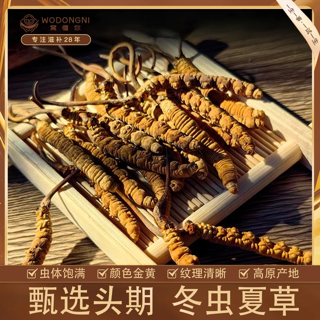窝懂你条条精选 干冬虫夏草。