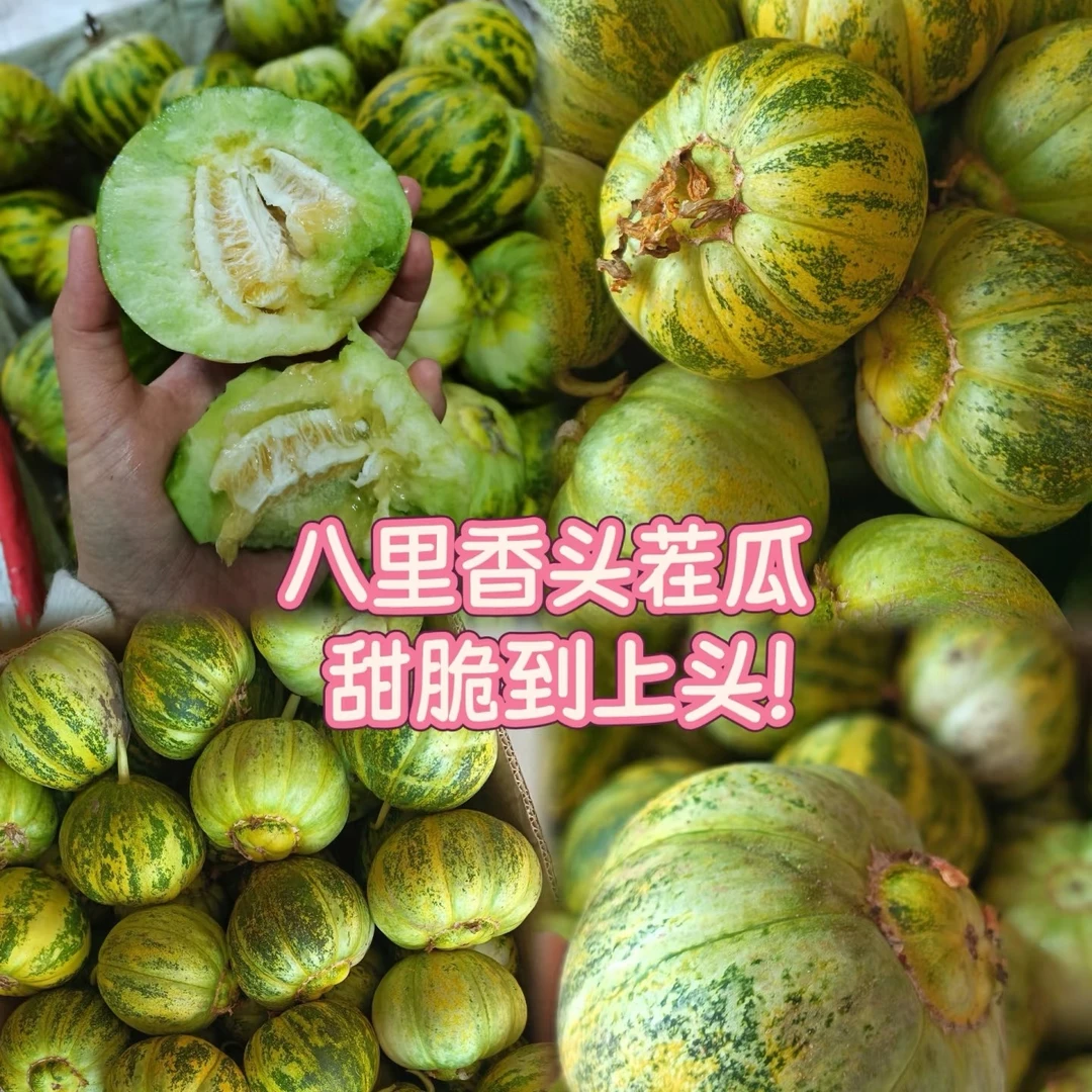 八里香香瓜 新鲜水果 甜脆好吃 新鲜采摘吉林省