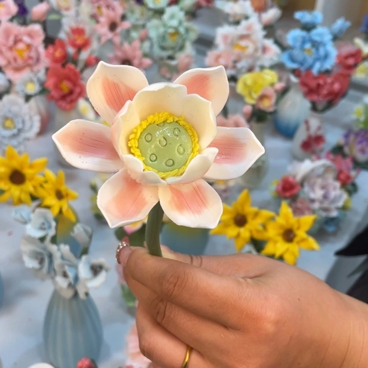 瓷片899999999999999999666