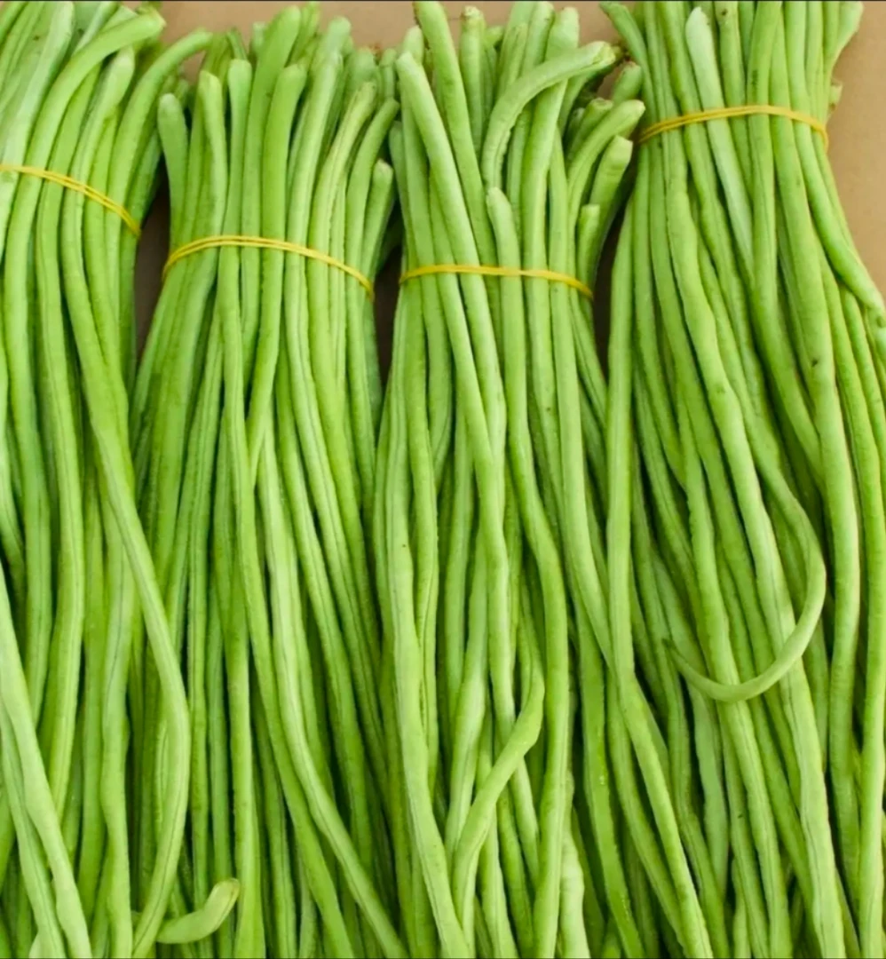 【当天现摘 顺丰包邮】长豆角 当季农家现摘新鲜嫩豆角