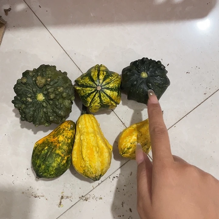 -***999哈哈哈哈哈哈哈哈哈