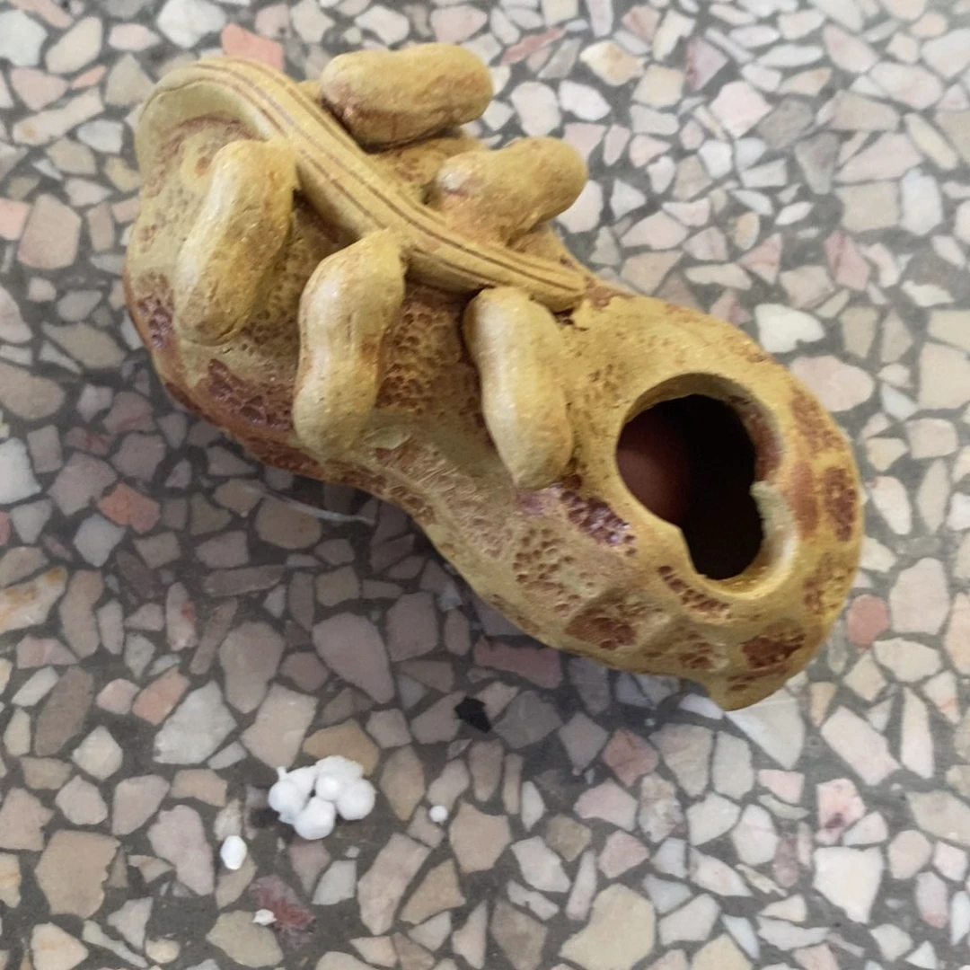 茶杯紫砂紫砂紫砂
