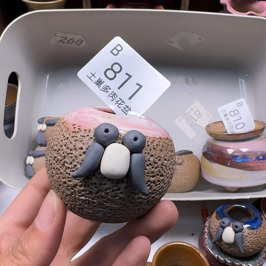 罐許*陶瓷艺术与工艺