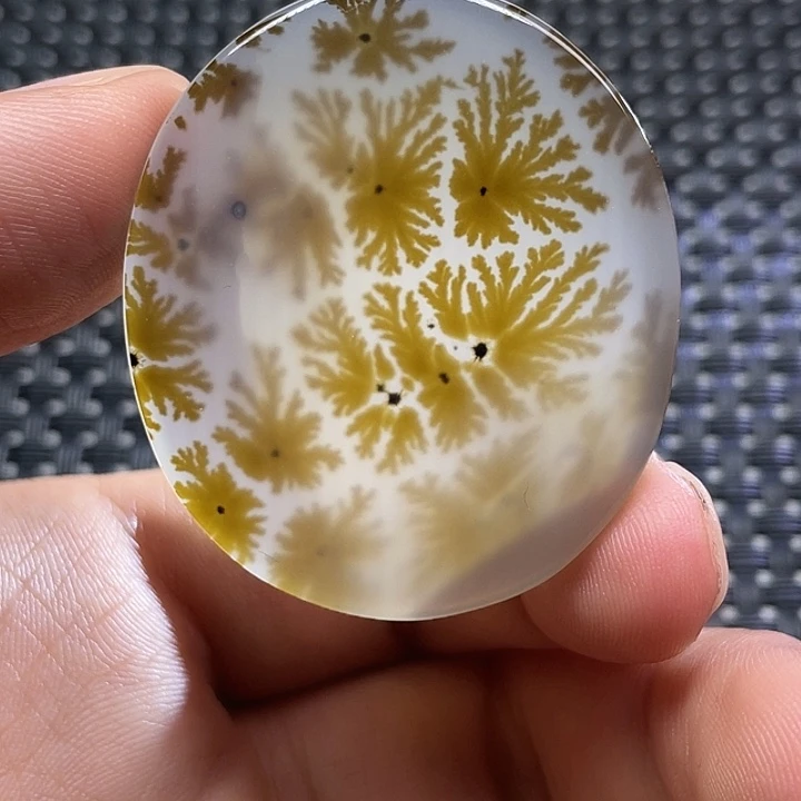 未镶嵌颈饰玛瑙/玉髓伊****5