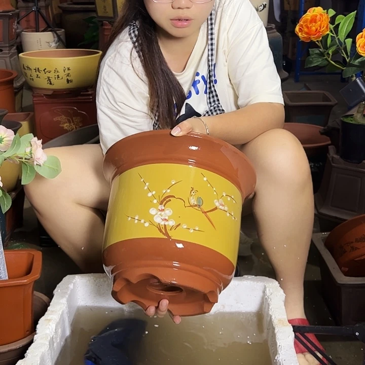 宜兴紫砂花盆黄金钟点菜大