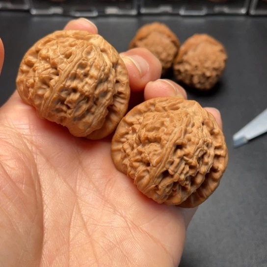 【闪购商品】把件文玩核桃老款白狮子…………