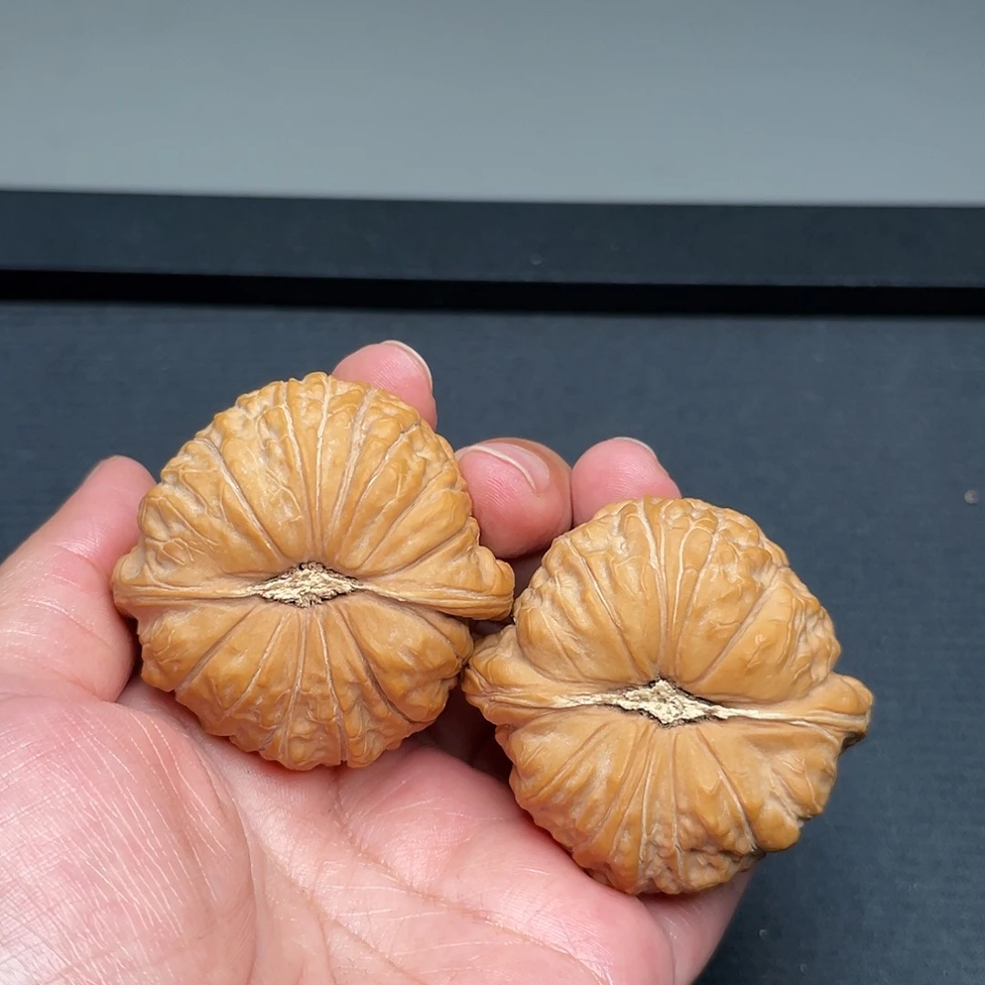 把件猴头核桃48×47全品头茬南瓜墩XM1038