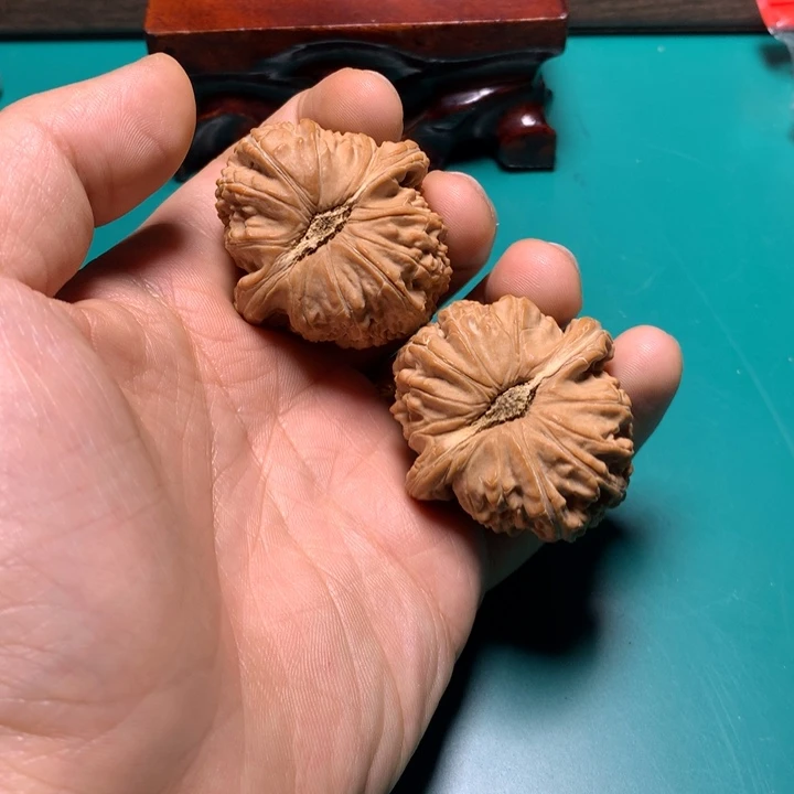 把件文玩核桃白狮子