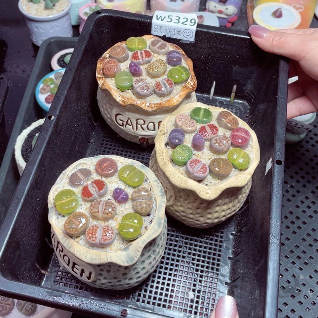 w5329钱袋子一份一盆量拍