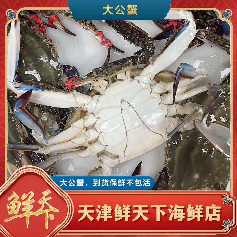 【保鲜不保活】本地精品特大公蟹一斤2只左右 一只4两左右 掉爪