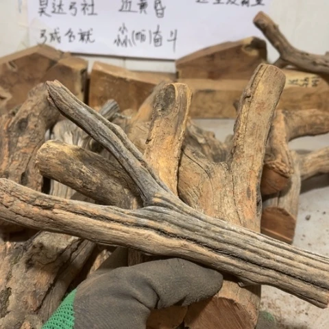 大果紫檀（缅甸花梨）高*子