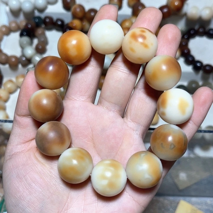 吊坠菩提根/象牙果卡20瑕疵款、不退不换