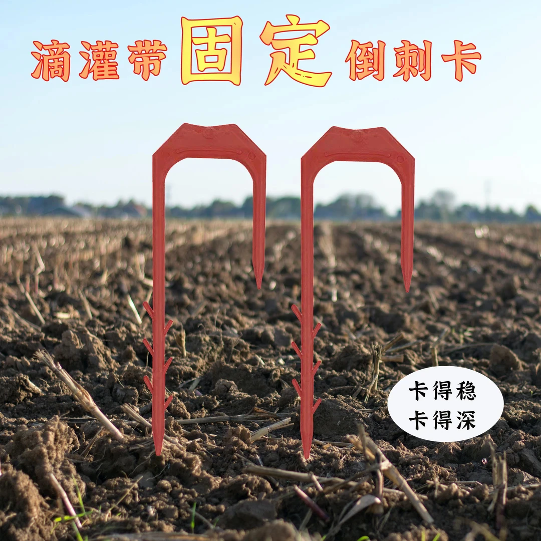 滴灌带防风固沙卡子大号U型叉稳固插得深倒刺防脱管飞管园艺商品图