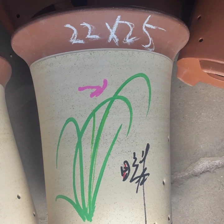 周深周深周深周深周深