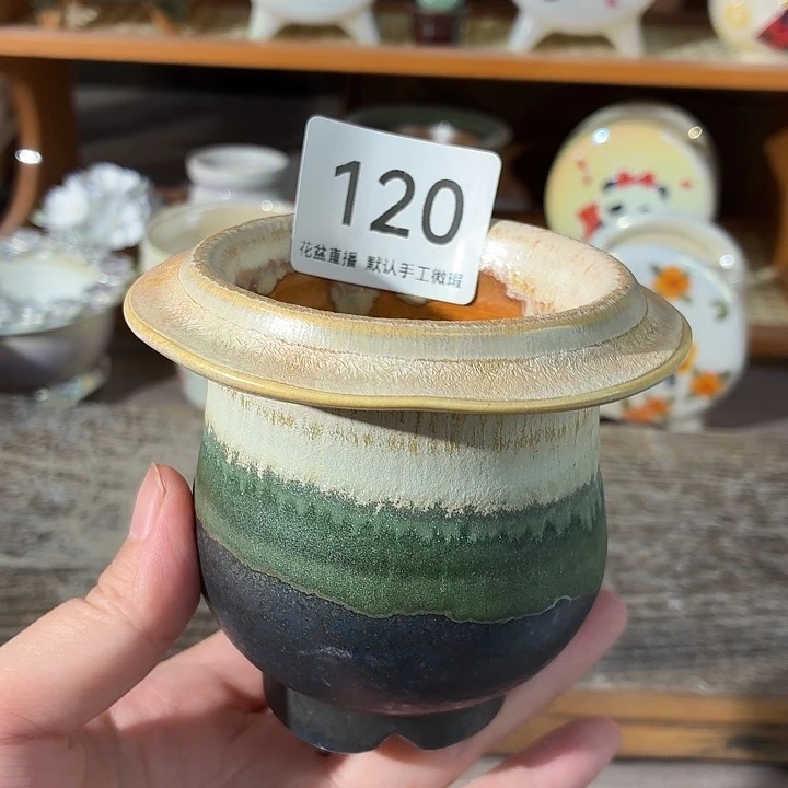 花盆花盆花盆花盆