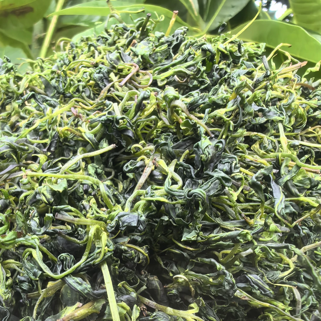 【阿海精选】土特产苦丁茶