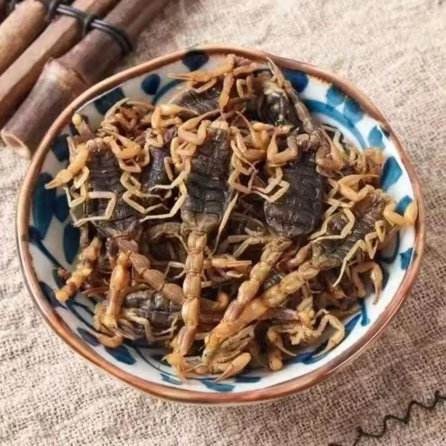 云南传统滋补 深山高海拔滋补【清全蝎子】煲汤 泡酒 泡茶