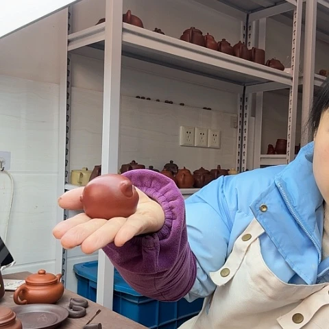 段泥茶宠茶宠茶宠小*、