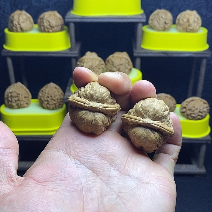 福利37尺寸蛤蟆头未打底01