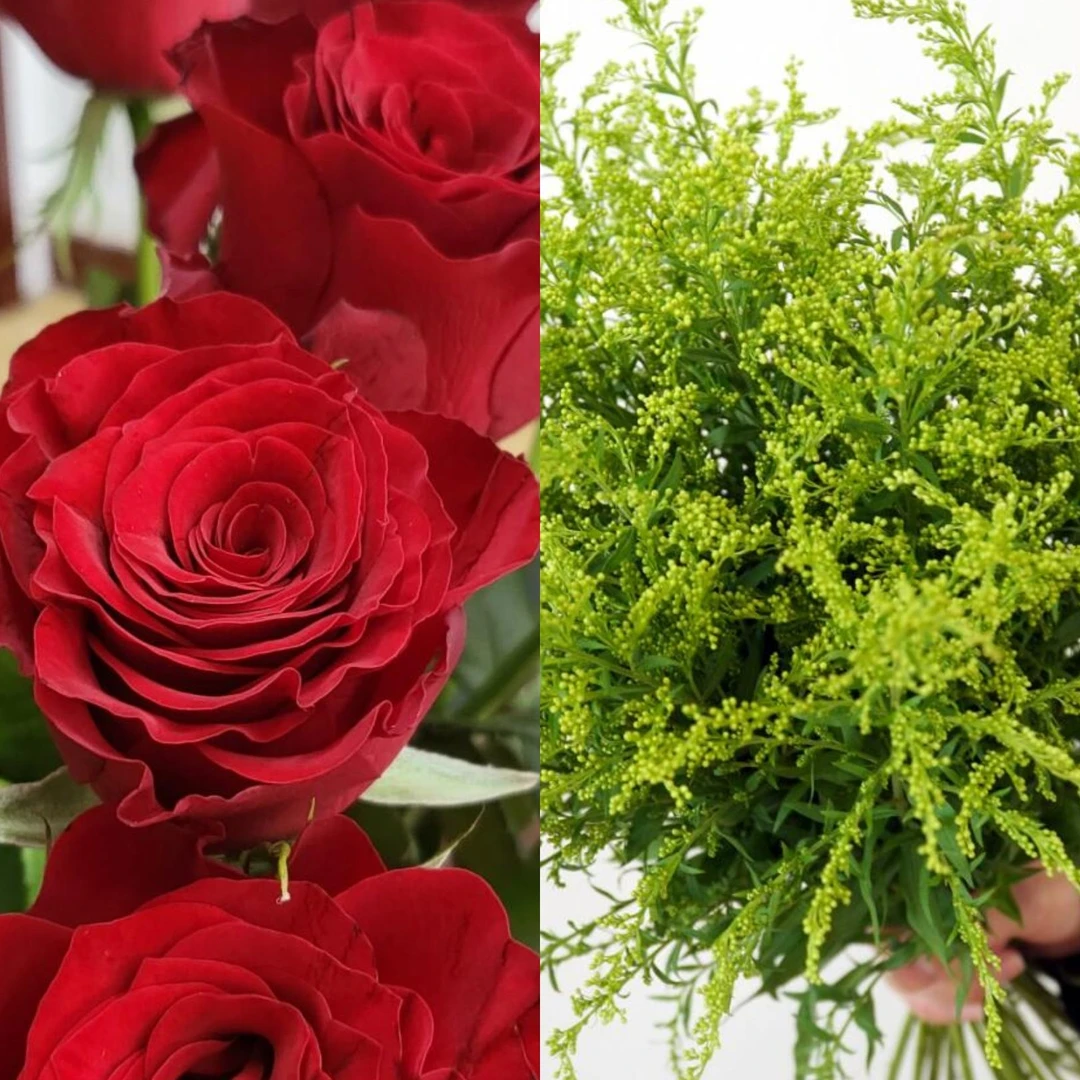 高原红玫瑰10枝黄英5枝组合鲜花瓶插花