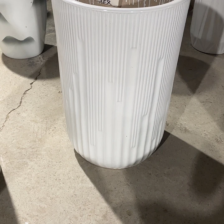 花盆花开了一个人的房间观看直播主播
