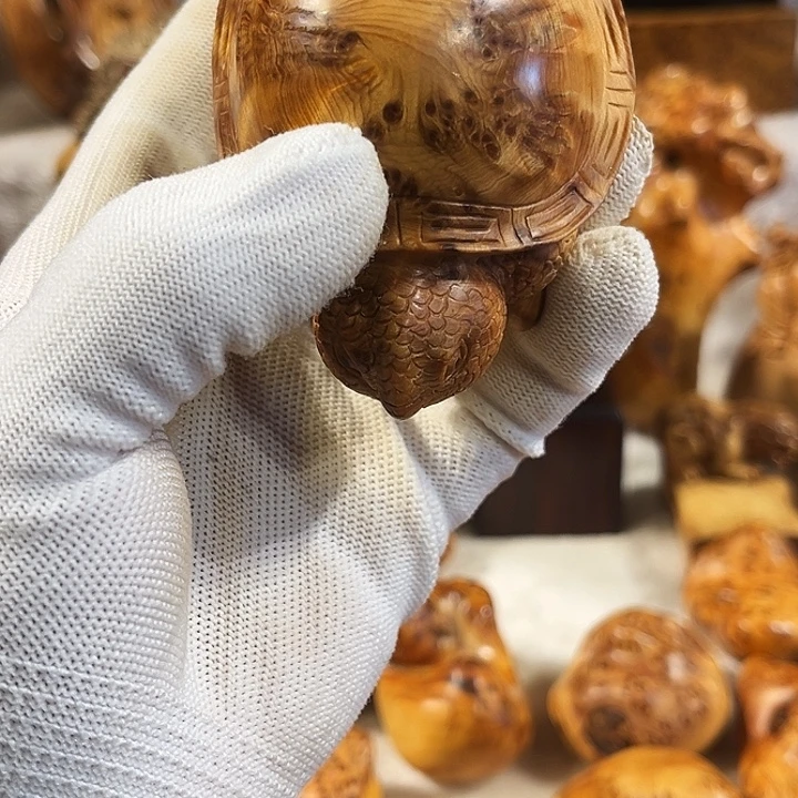 金***龙柏木太行崖柏雪花影子瘤乌龟