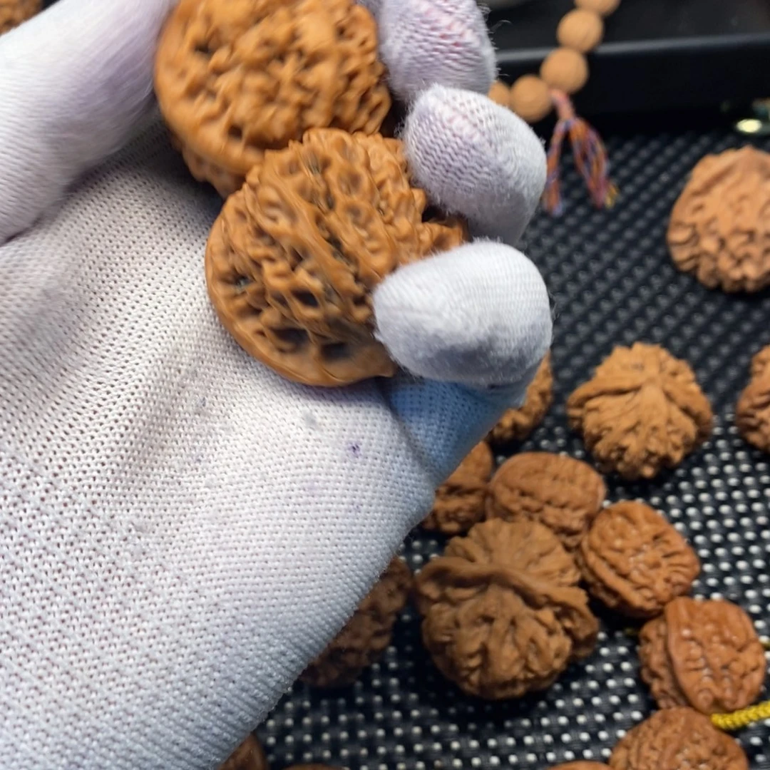 浪***条秦岭森林生态系统保护规划纲要