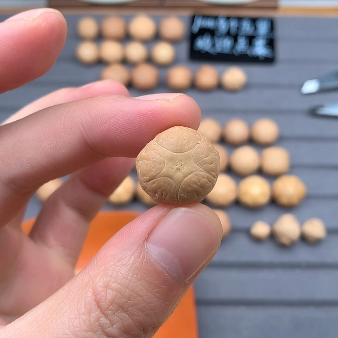 吊坠凤眼菩提19+五星，非质量问题开孔不退