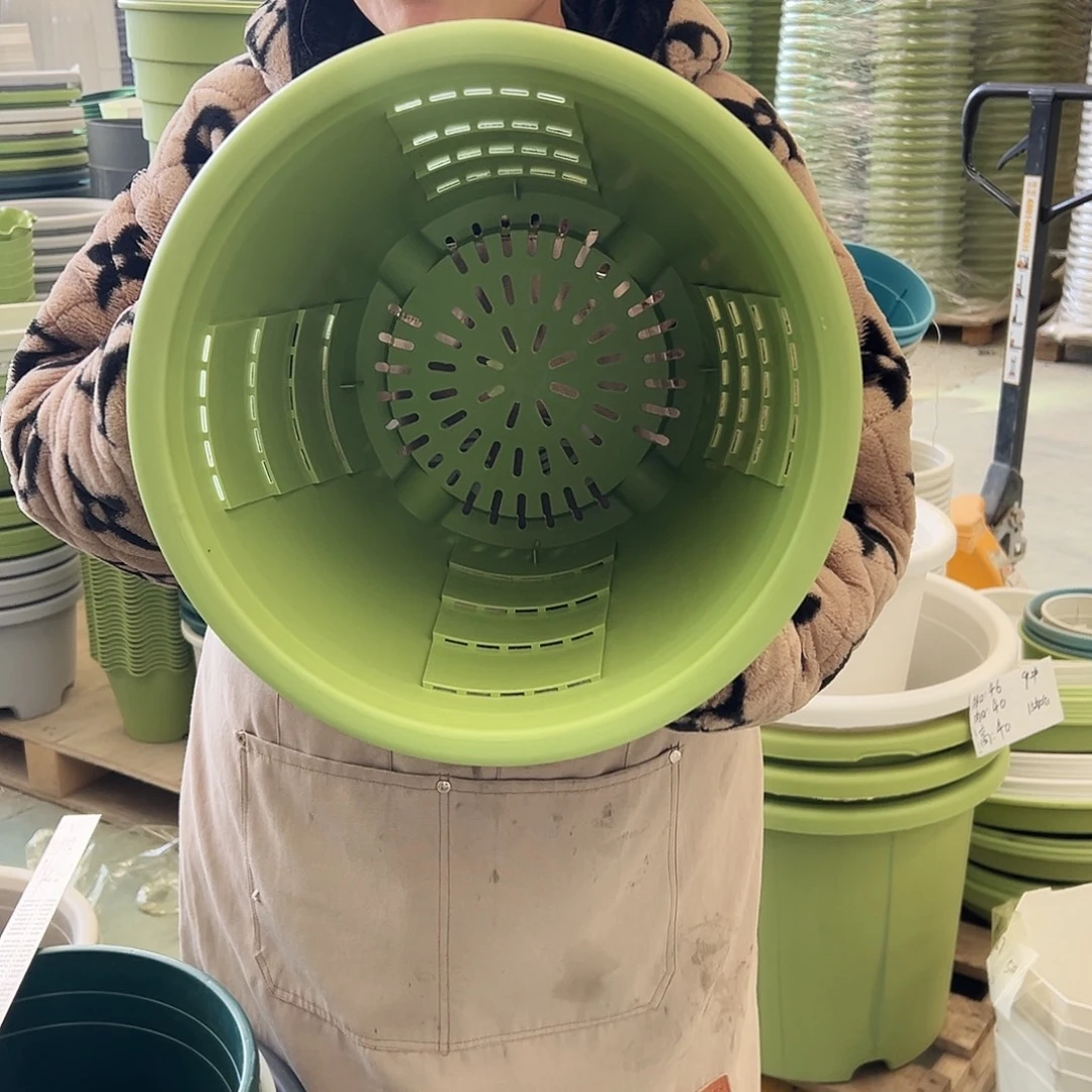 玫瑰320#果绿色5个无托