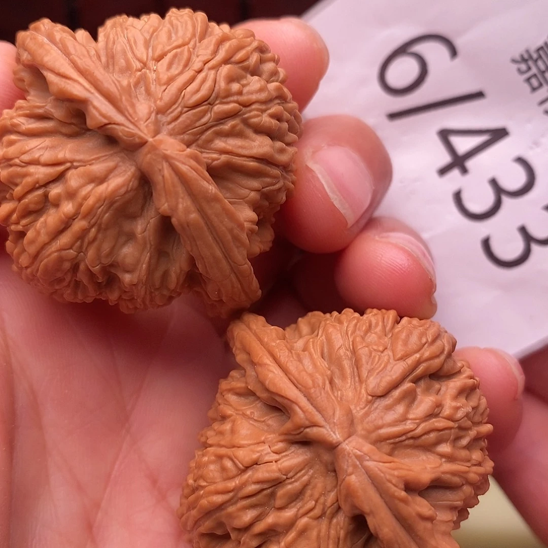 把件文玩核桃41.5白狮子