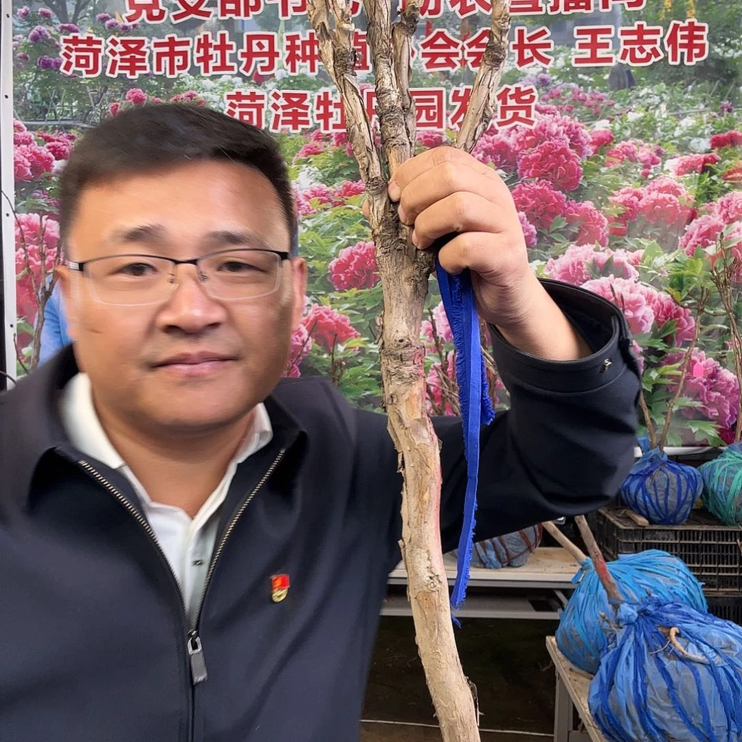 北***树完全开放花镜360元