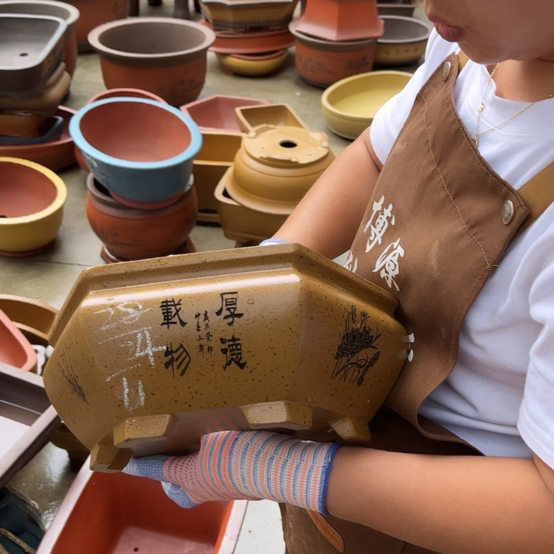 紫砂花盆盆景艺术