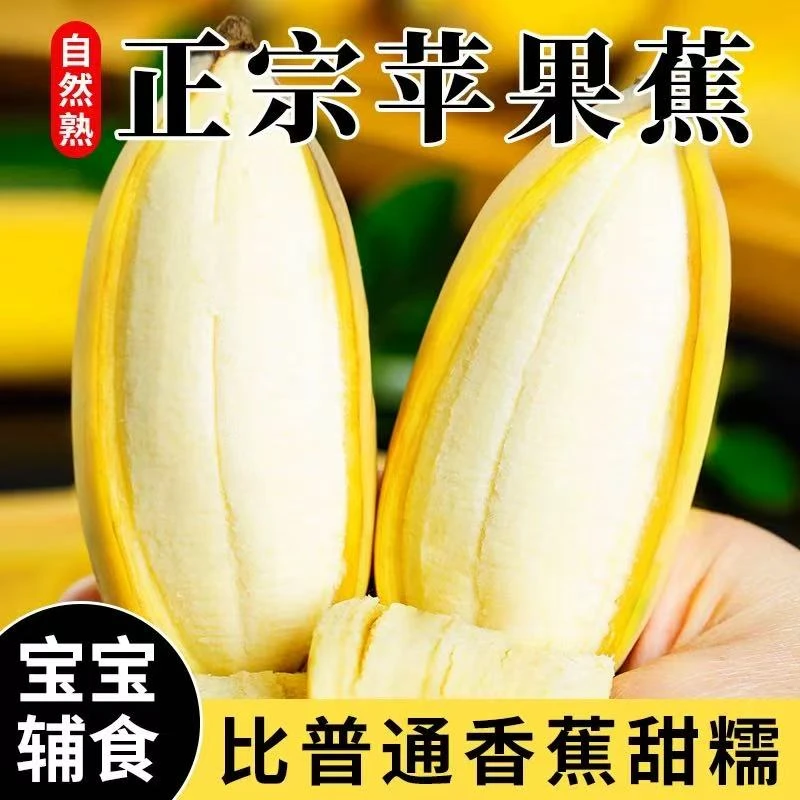 广西正宗苹果蕉新鲜应季自然熟香甜软糯水果