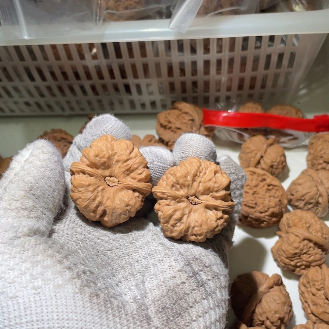 打***假核桃文玩核桃延庆蛤蟆