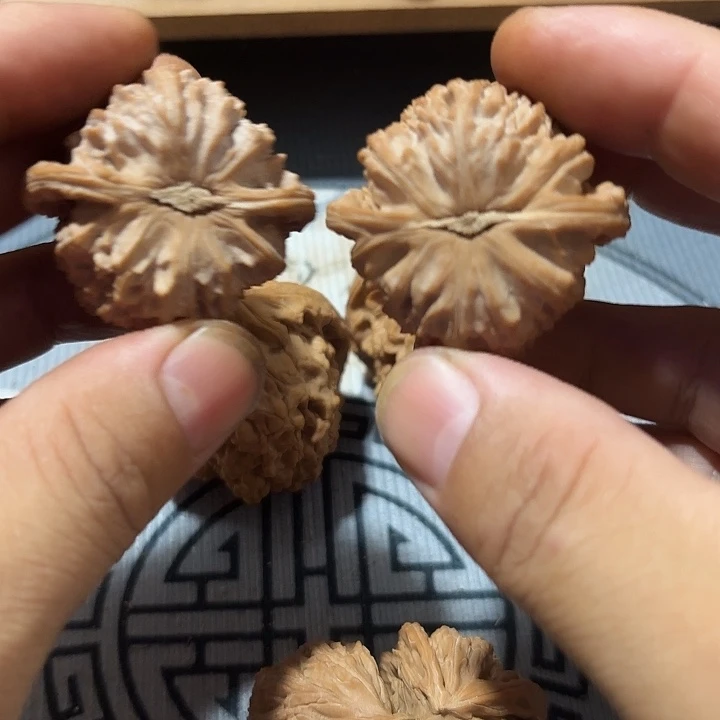 大叶紫檀（黑酸枝木类）白师子核桃