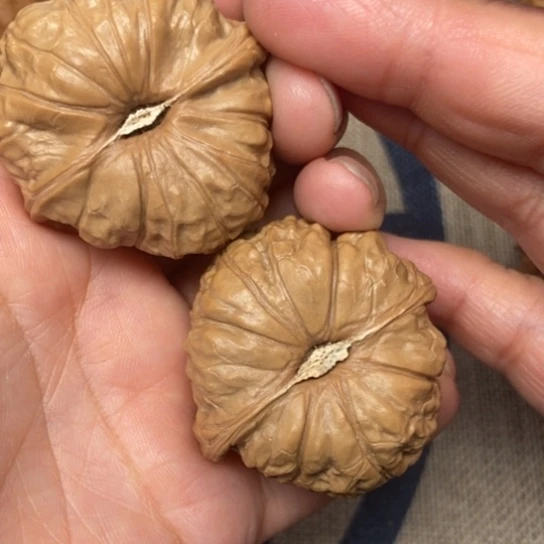 吊坠文玩核桃南瓜