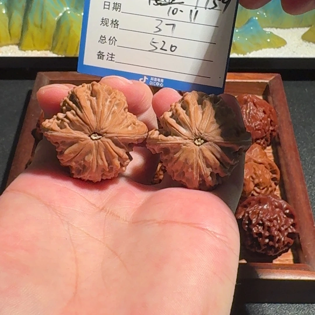 国***家磨盘编号1759全品